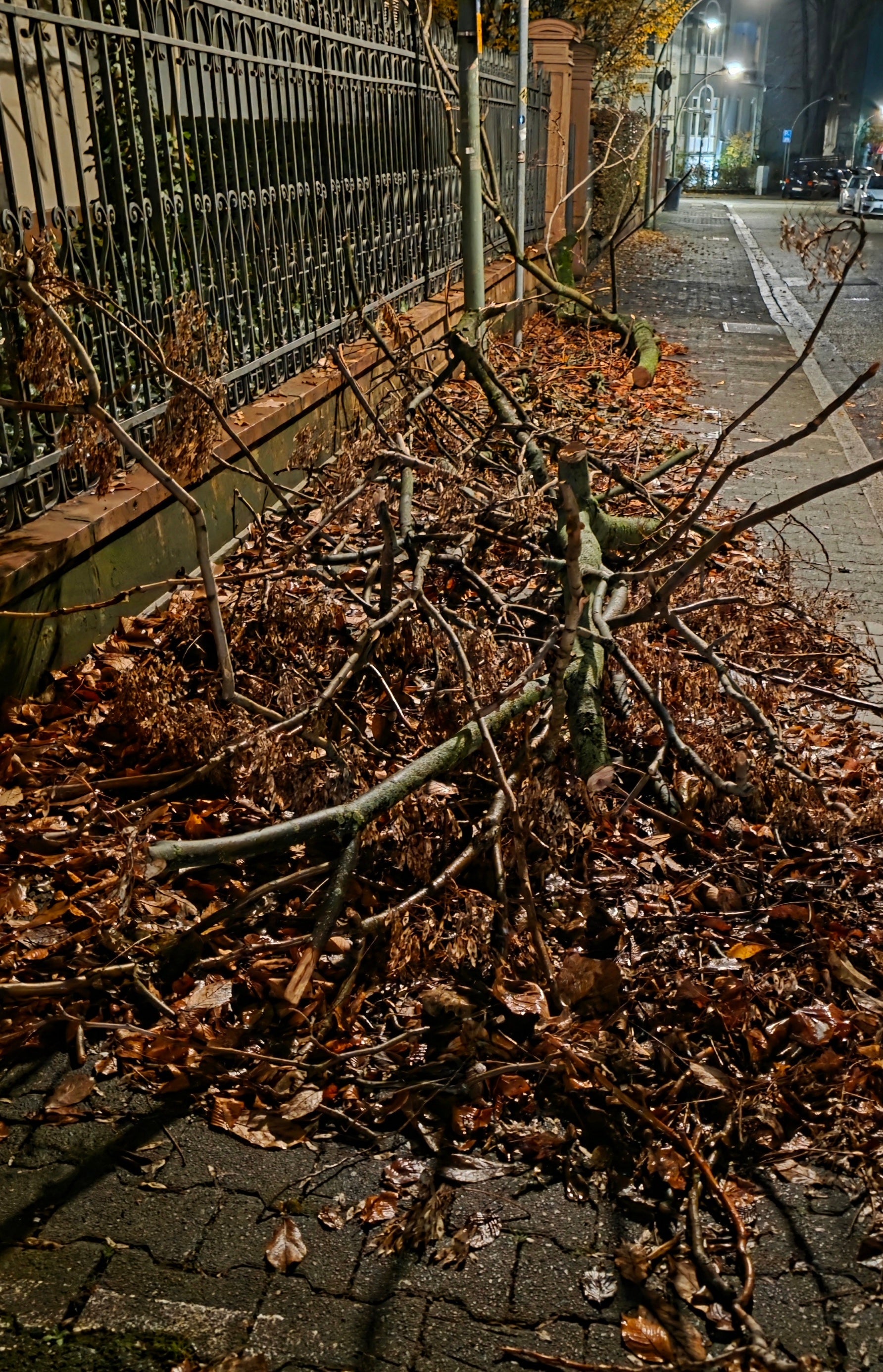 Akku-LaubbläserBläser Pistolen-Laubbläser Extrempower mit bis zu 210 km/h