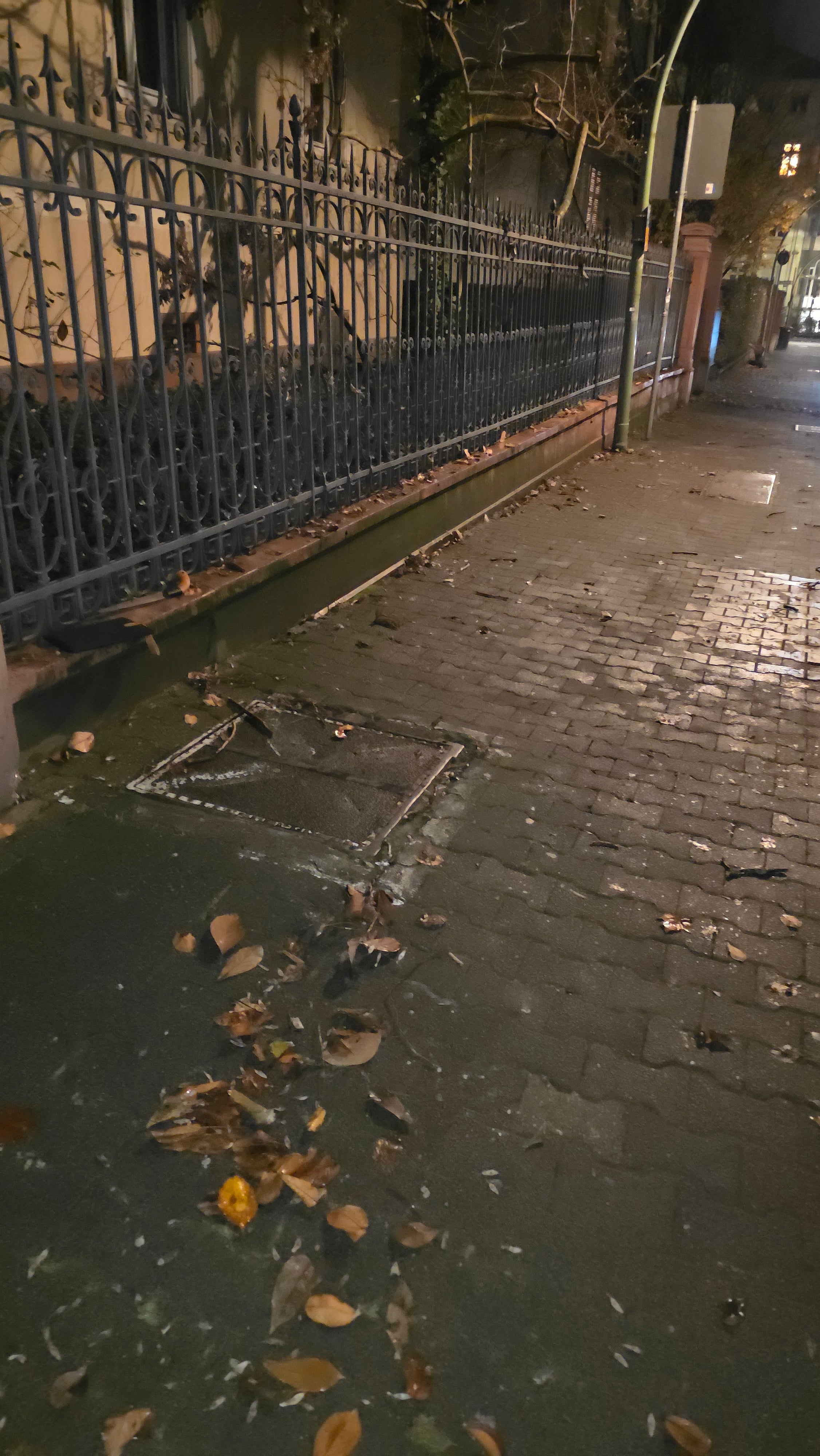 Akku-LaubbläserBläser Pistolen-Laubbläser Extrempower mit bis zu 210 km/h