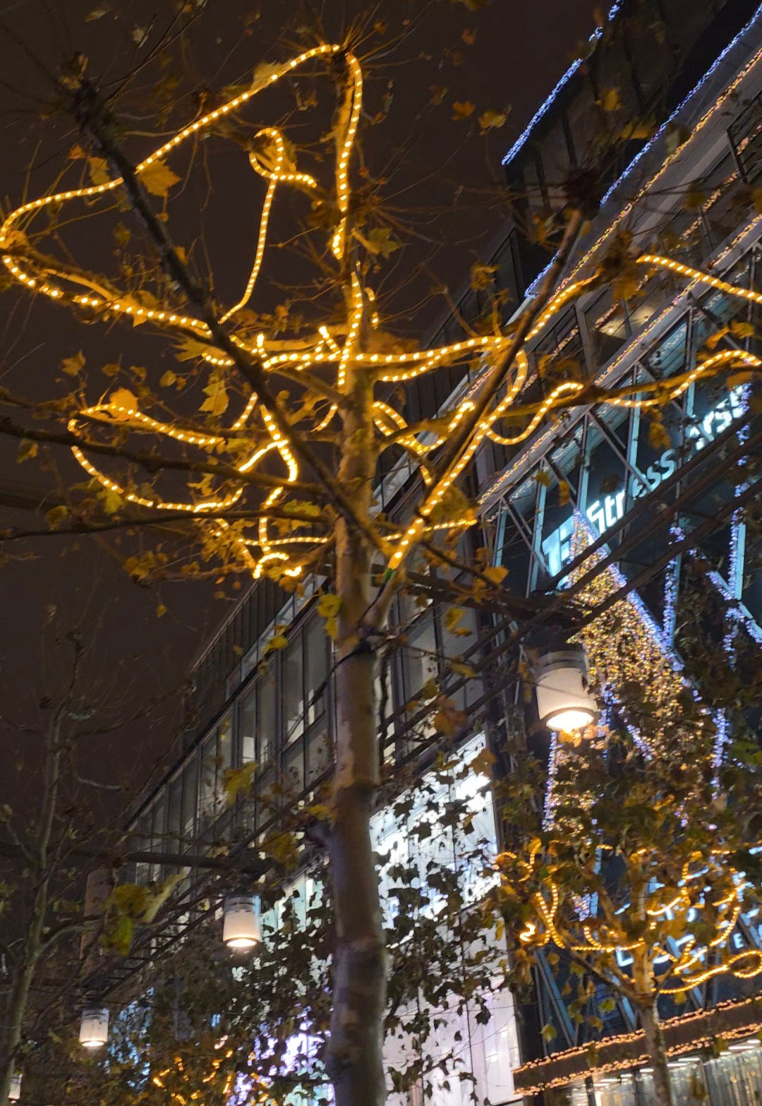 Rubberlights warm-weiß, 9 Meter. Inspiriert von der Weihnachtsmagie der Frankfurter Zeil.